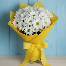 Букет цветов из:  Хризантемы в Новошешминск