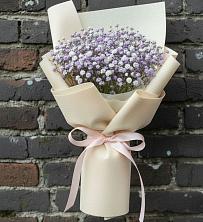 Букет цветов из:  Гипсофила в Новошешминск