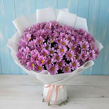 Букет цветов из:  Хризантемы в Новошешминск