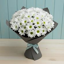 Букет цветов из:  Хризантемы в Новошешминск
