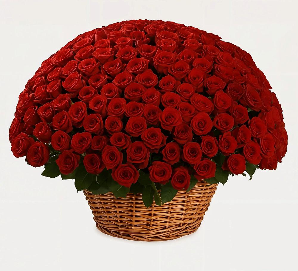 Премиум букет из: Розы в Новошешминск