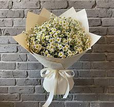 Букет цветов из:  Ромашки #REPLACE_PRED# Новошешминск