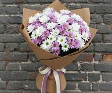 Букет цветов из:  Хризантемы #REPLACE_PRED# Новошешминск