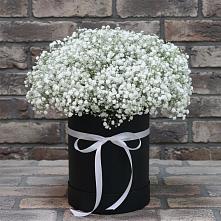 Цветочная композиция из Гипсофила в шляпной коробке в Новошешминск