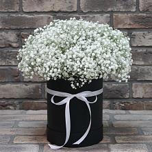 Цветочная композиция из Гипсофила в шляпной коробке в Новошешминск