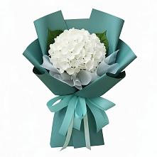 Букет цветов из:  Гортензия в Новошешминск
